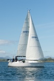 white lady 2097c whyw22 sun 800_2409yi